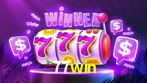 Statistics 77win